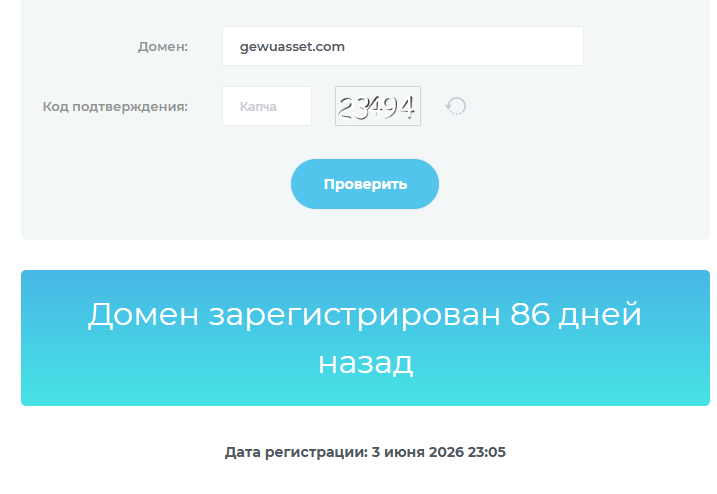 GEWU ASSET MANAGEMENT PTE LTD Возраст домена
